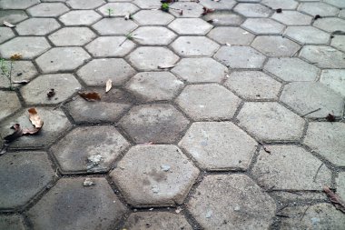 Altıgen kaldırım taşları, dağınık kuru yapraklar ve toprak parçaları.