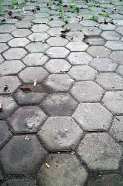 Düşen yapraklarla kısmen kaplanmış ve eklemlerinde çimen filizlenen altıgen bir kaldırımın yakın görüntüsü.