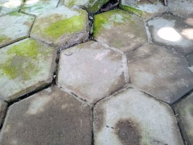 Yosun büyüyen yıpranmış altıgen taş kiremitleri kapat.
