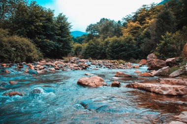 Karayiplerdeki dağ nehri