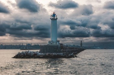 Martı denizin üzerinde uçuyor.
