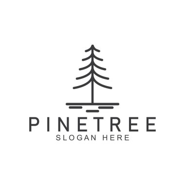 Çam ağacı logosu her zaman yeşildir. Çam ormanı maceracıları için doğa rozetleri ve iş yerleri.