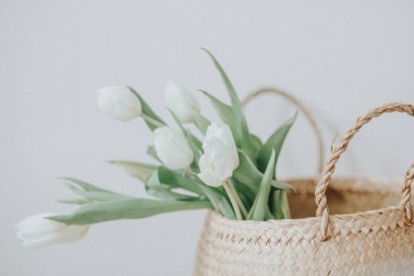 BOHO 'DA BEYAZ TULIPS 