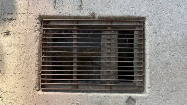 Paslı çelik ızgara gideri. Açık havada.. 