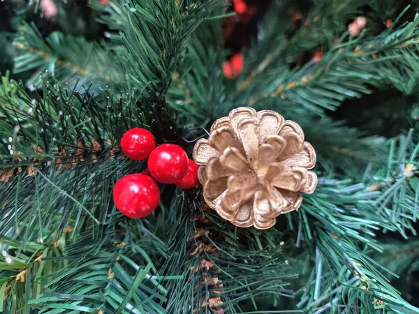 Köknar, ağaç ve kırmızı böğürtlen ile Noel süslemeleri