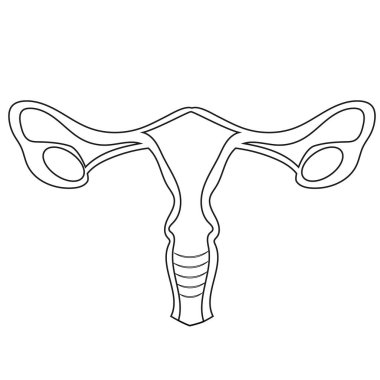 Sağlıklı bir kadın organının lineart logosu, yani rahim ağzı.