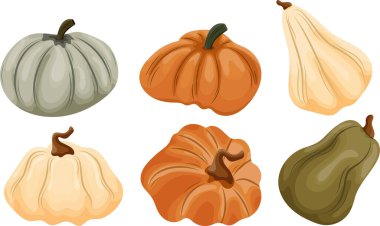 Farklı boyutlarda ve farklı renkte kabak kümeleri, vektör