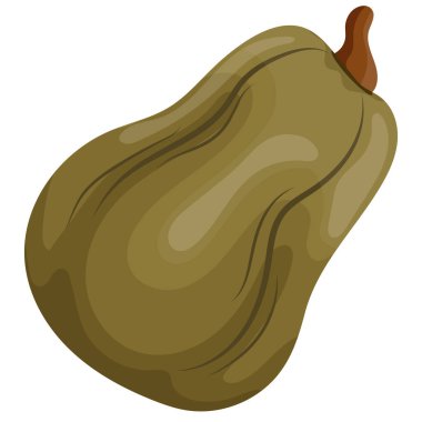 Sonbahar yeşili uzun balkabağı ikonu, çeşitli tasarım ve posterler için,