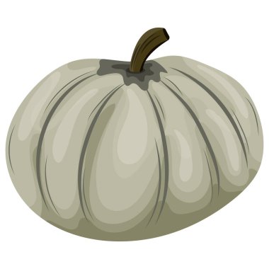 Sonbahar yeşil yuvarlak balkabağı ikonu, çeşitli tasarım ve posterler için,