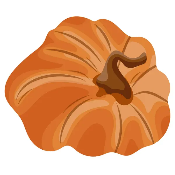 Güz portakalı kabak ikonu, çeşitli tasarım ve posterler için, vektör