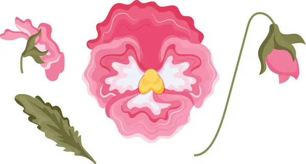 Çeşitli pembe kancık tomurcukları ve yeşil yapraklardan oluşan ikonlar, çeşitli tasarımlar için.