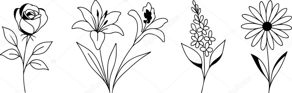 Set of simple icons of buds of various flowers and branches drawn with several lines in line art style, for logos and tattoos