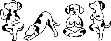 Yoga yapan ve çeşitli yoga pozlarında meditasyon yapan köpekler, logolar ya da çeşitli tasarımlar için.