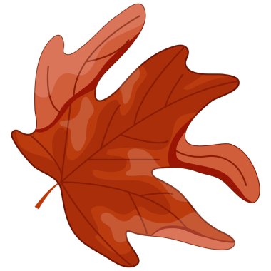 Kanada Günü veya sonbahar tasarımı için kırmızı renkli akçaağaç yaprağı simgesi