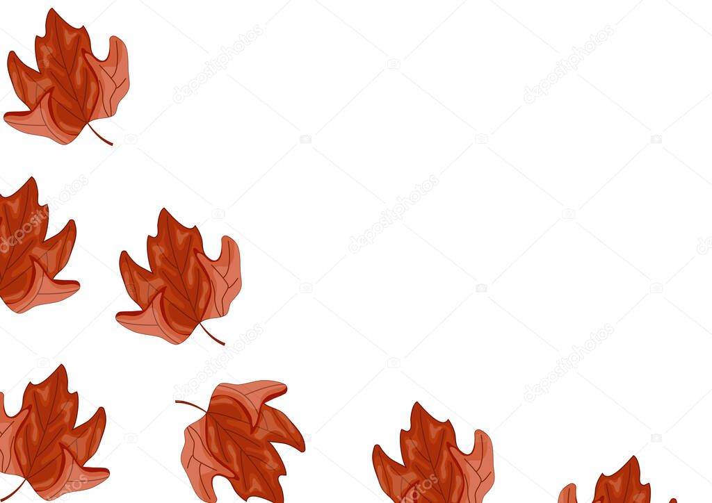 Poster of a bent maple leaf in the colors of the Canadian flag without a background, for Canada Day or autumn design