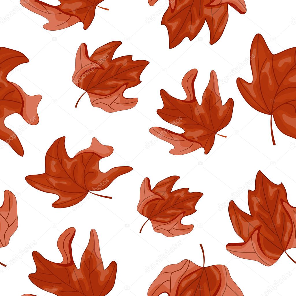 Pattern from a set of maple tree leaf icons in the colors of the Canadian flag without a background, for Canada Day or autumn design