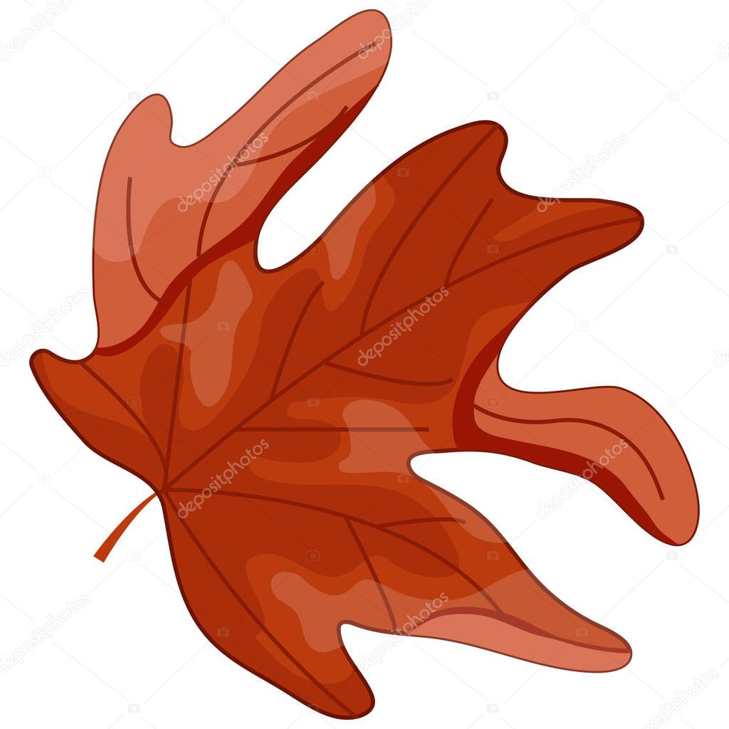 Maple leaf icon in red colors with a bent corner, for Canada Day or autumn design
