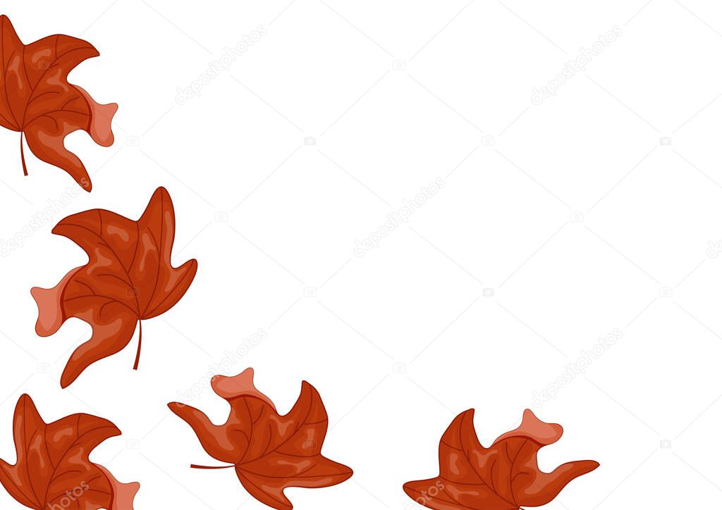 Poster with maple leaf in Canadian flag colors without background, for Canada Day or autumn design