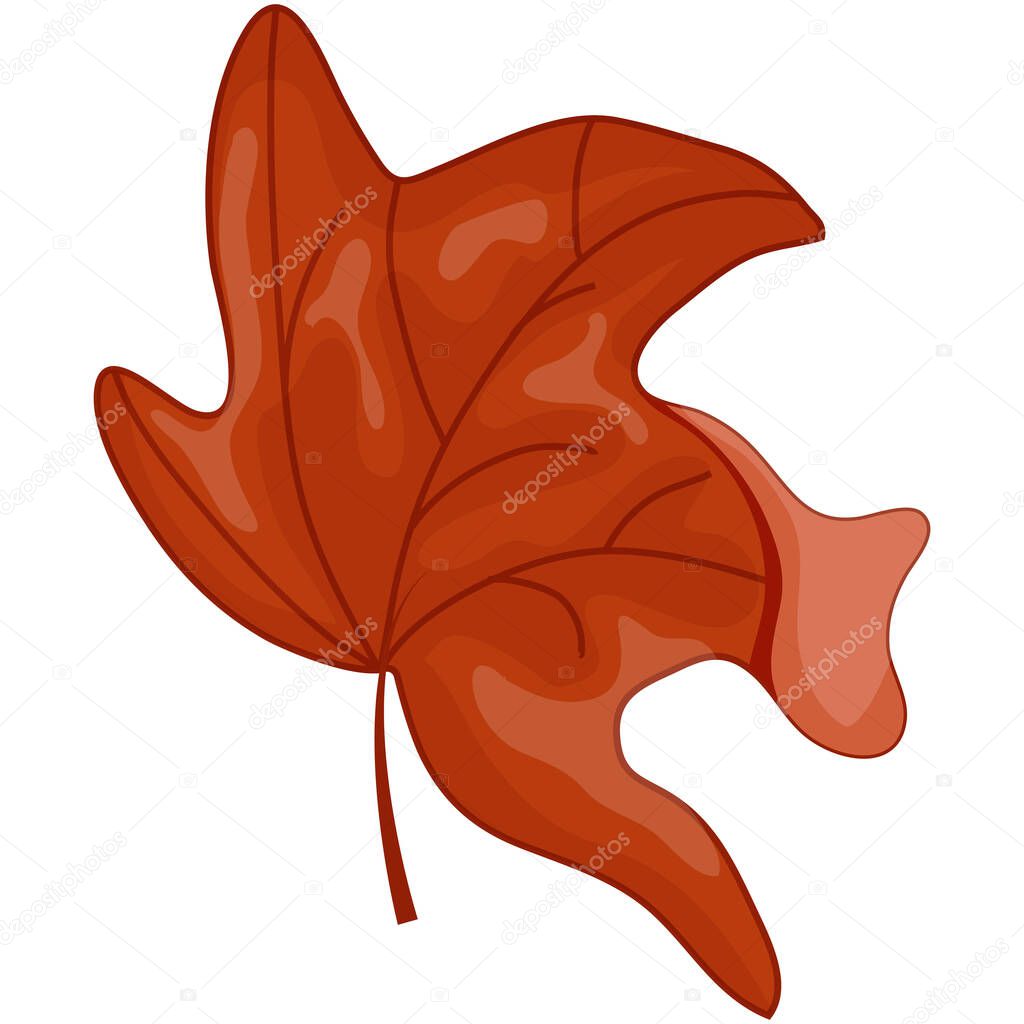 Maple tree leaf icon in Canadian flag colors, for Canada Day or fall design