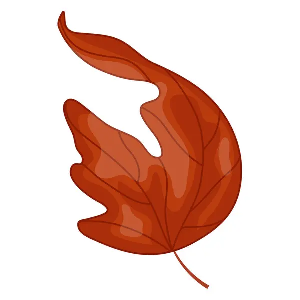 Kanada Günü veya sonbahar tasarımları için yarım yamalak bir akçaağaç yaprağının simgesi