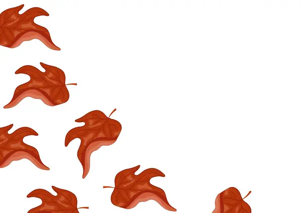 Yaprak döken bir ağaçtan kırmızı bir yaprak, yani arka planı olmayan bir akçaağaç, Kanada Günü ya da sonbahar tasarımları için