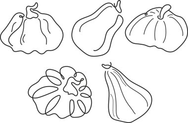 Çeşitli şekillerdeki balkabakları çeşitli çizgilerle çizilmiş, logolar ya da desenler için