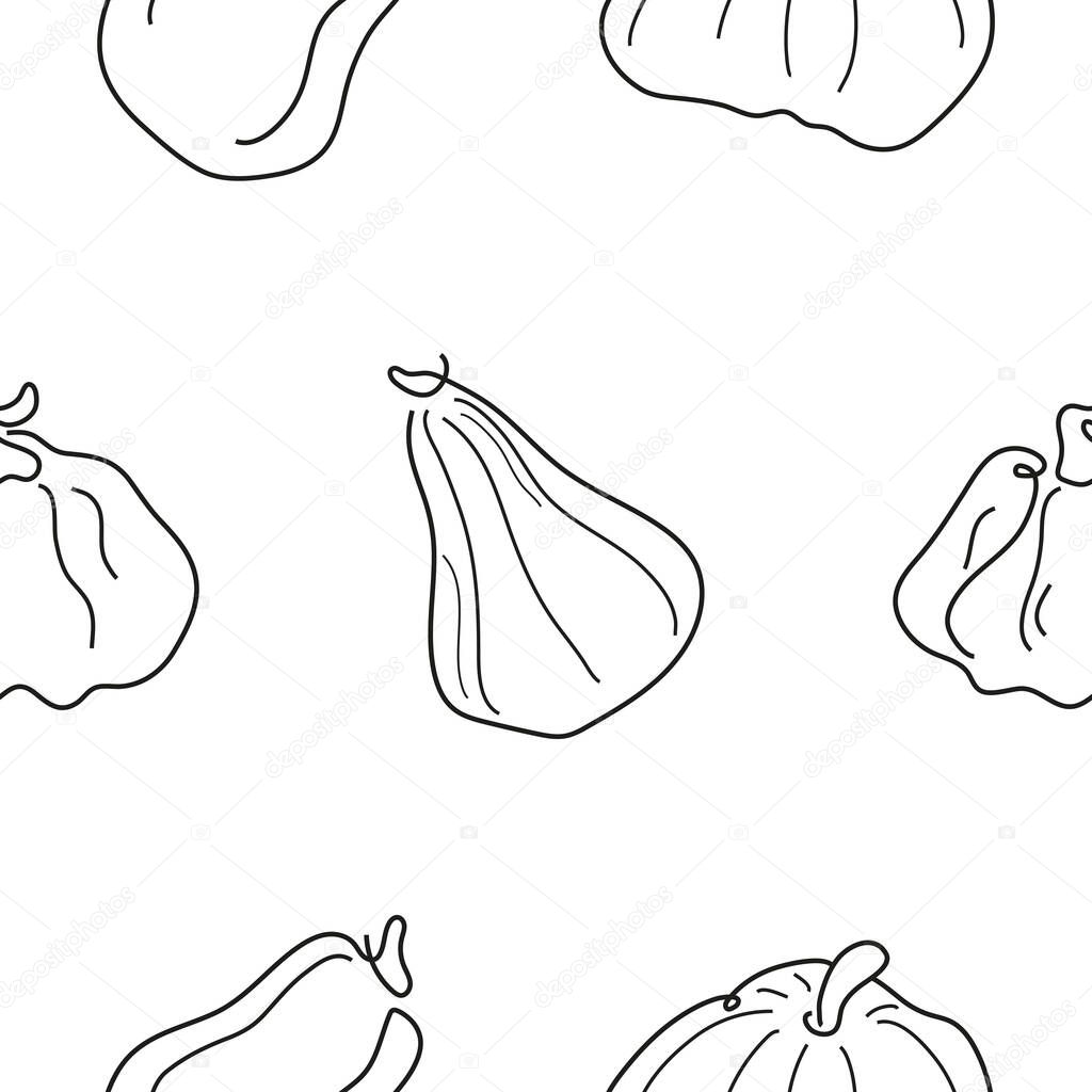 Pattern with a set of pumpkins of various shapes in line art style drawn with several lines, for logos or patterns