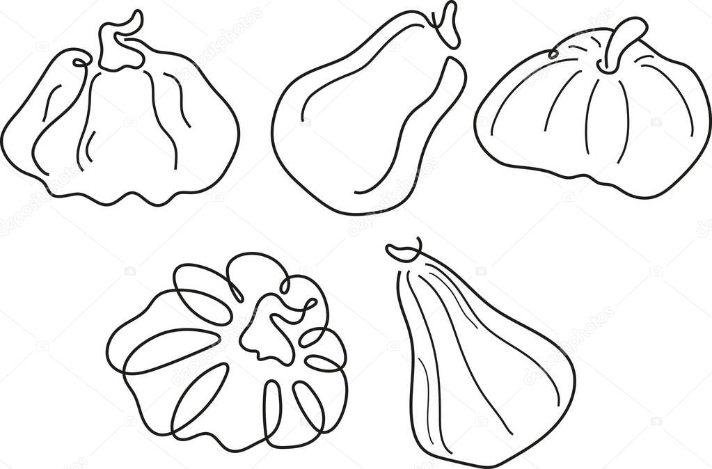 Set of pumpkins of various shapes in line art style drawn with several lines, for logos or patterns