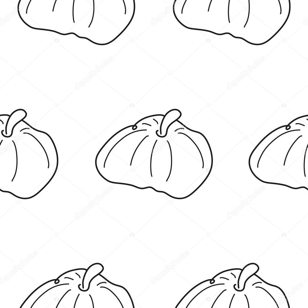 Pattern with a simple icon in line art style with a pumpkin of a round shape drawn with several lines without a background, for logos or patterns