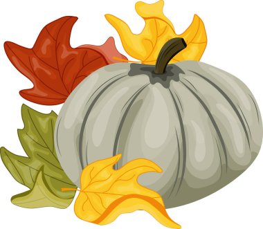 Sonbahar tasarımları, kartlar veya ambalajlar için, yuvarlak yeşil bir balkabağı ve yanında renkli sonbahar yaprakları ile basit bir düz stil simgesi