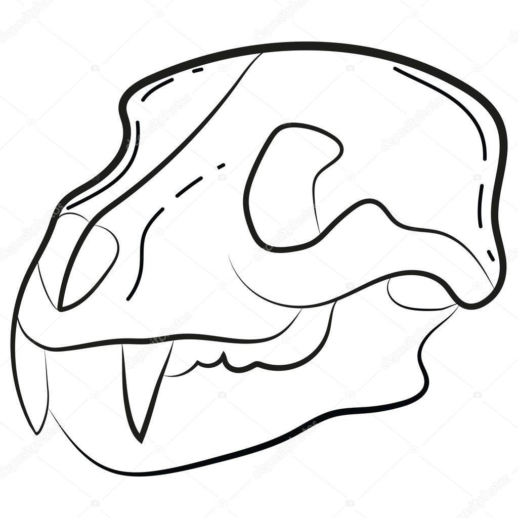 Skull icon, animal heads in line art style drawn with various contours, suitable for gothic or Halloween designs