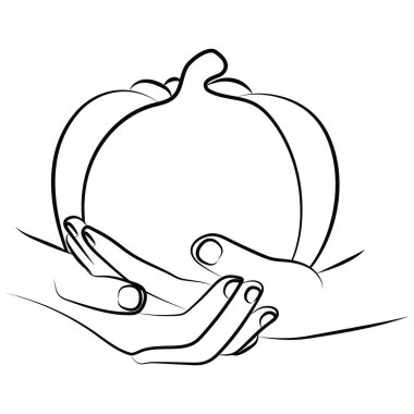 icon of human hands holding a ripe pumpkin in line art style