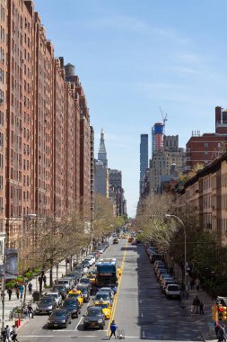 mavi alakarga dal üzerinde tünemiş