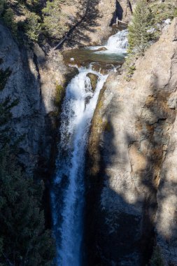 Kule Falls Yellowstone Milli Parkı'nda