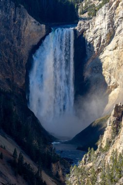 Aşağı Yellowstone Şelalesinin ikonik görünümü 