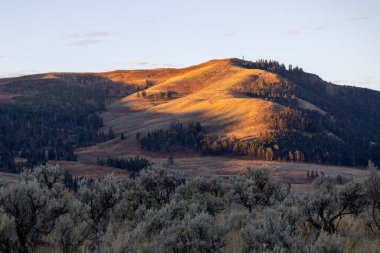 Yellowstone Ulusal Parkı 'nda bir yamaçta gün doğumu