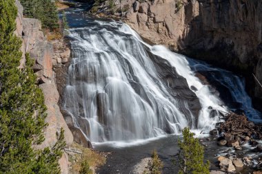 Gibbon Falls Yellowstone Milli Parkı'nda