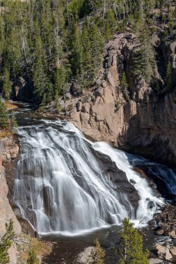 Gibbon Falls Yellowstone Milli Parkı'nda