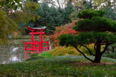 Japon bahçesinde sonbahar renkleri