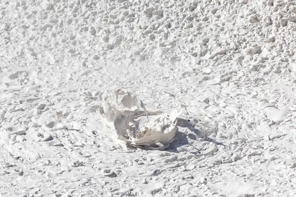Yellowstone Ulusal Parkı 'nda kaynayan çamur tencereleri