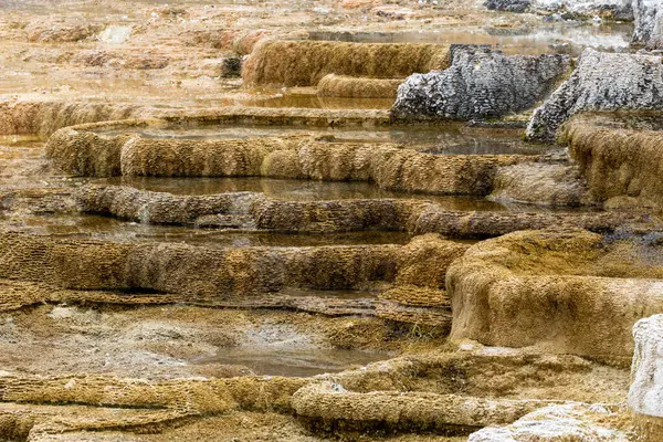 Mammoth Kaplıcalarında jeotermal oluşumlar