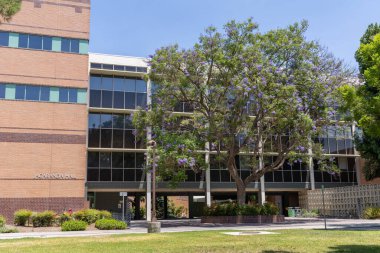 Northridge, CA - 23 Temmuz 2022: Kaliforniya Eyalet Üniversitesi Northridge 'in kampüsünde bina