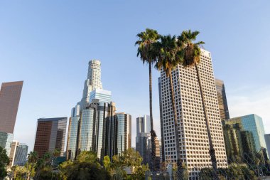 Los Angeles 'ın silueti bir grup palmiye ağacının arkasında.
