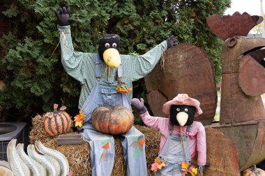 Şükran Günü veya Cadılar Bayramı için giyinmiş komik karga figürleri