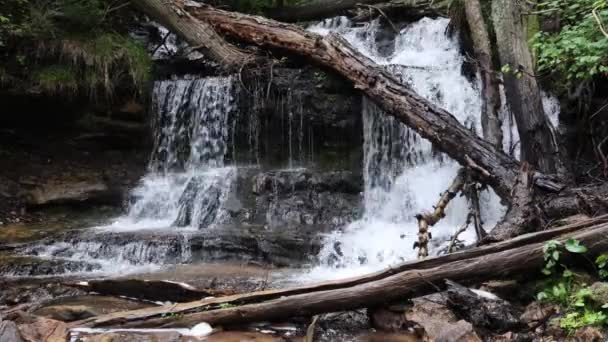 Wasser Rauscht Über Wagner Falls Michigan — Stockvideo