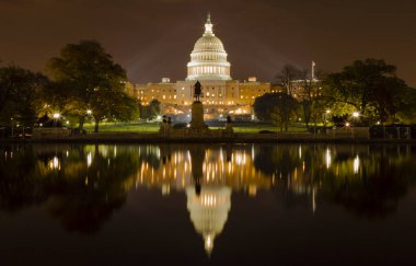 Belçika atları sonbahar renklerinin önünde 
