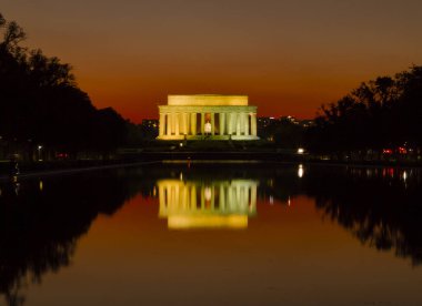 Belçika atları sonbahar renklerinin önünde 