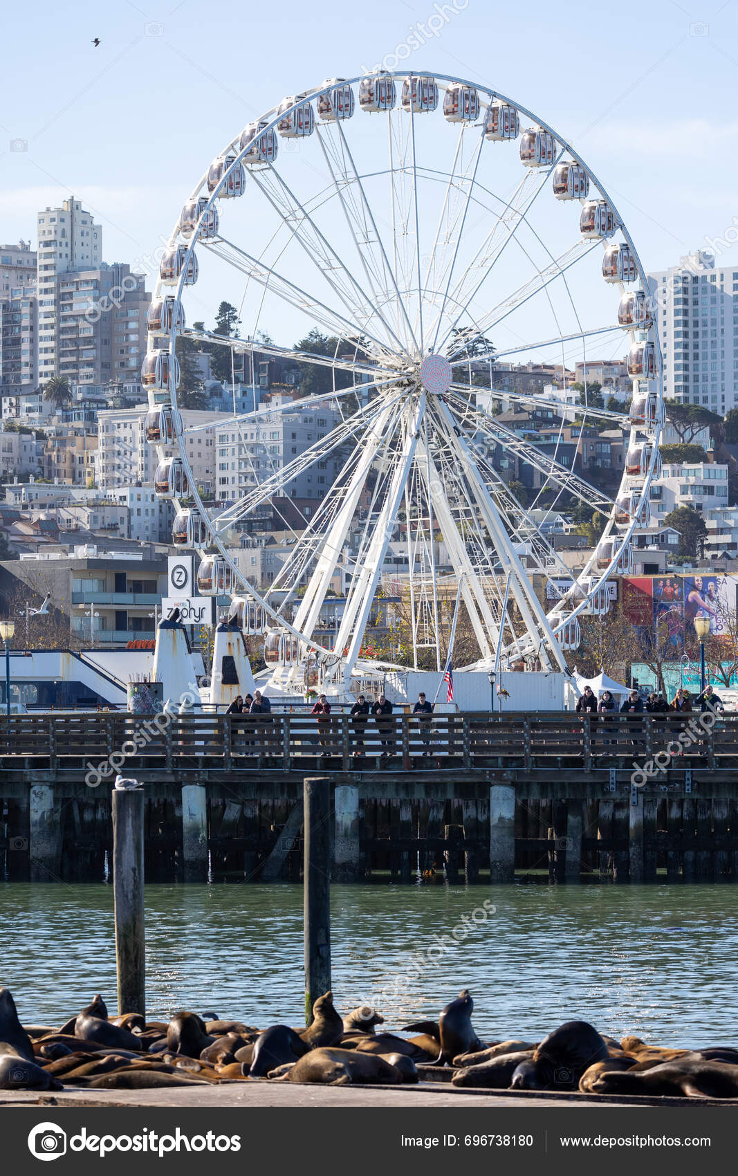 San Francisco January 2024 California Sean Lions Ferris Wheel Distance