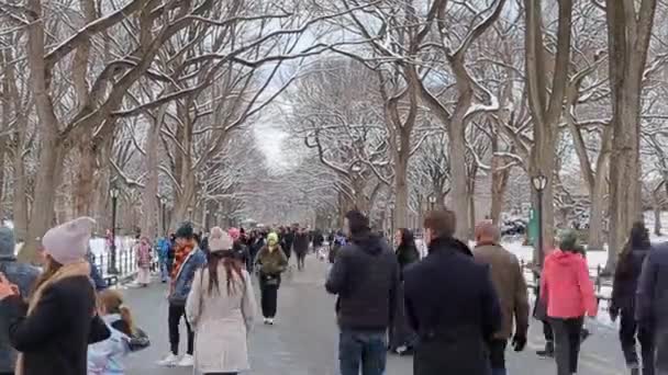 New York Febbraio 2024 Gente Cammina Central Park Dopo Una — Video Stock