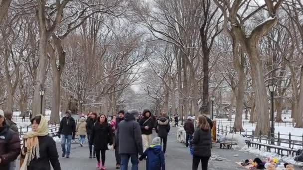 ニューヨーク 2024年2月17日 新雪の後 セントラルパークを歩く人々 — ストック動画